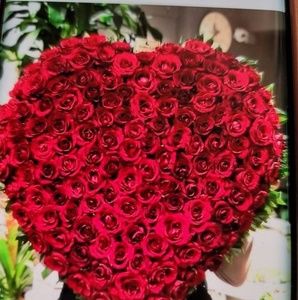 Meet your Posher, Dora